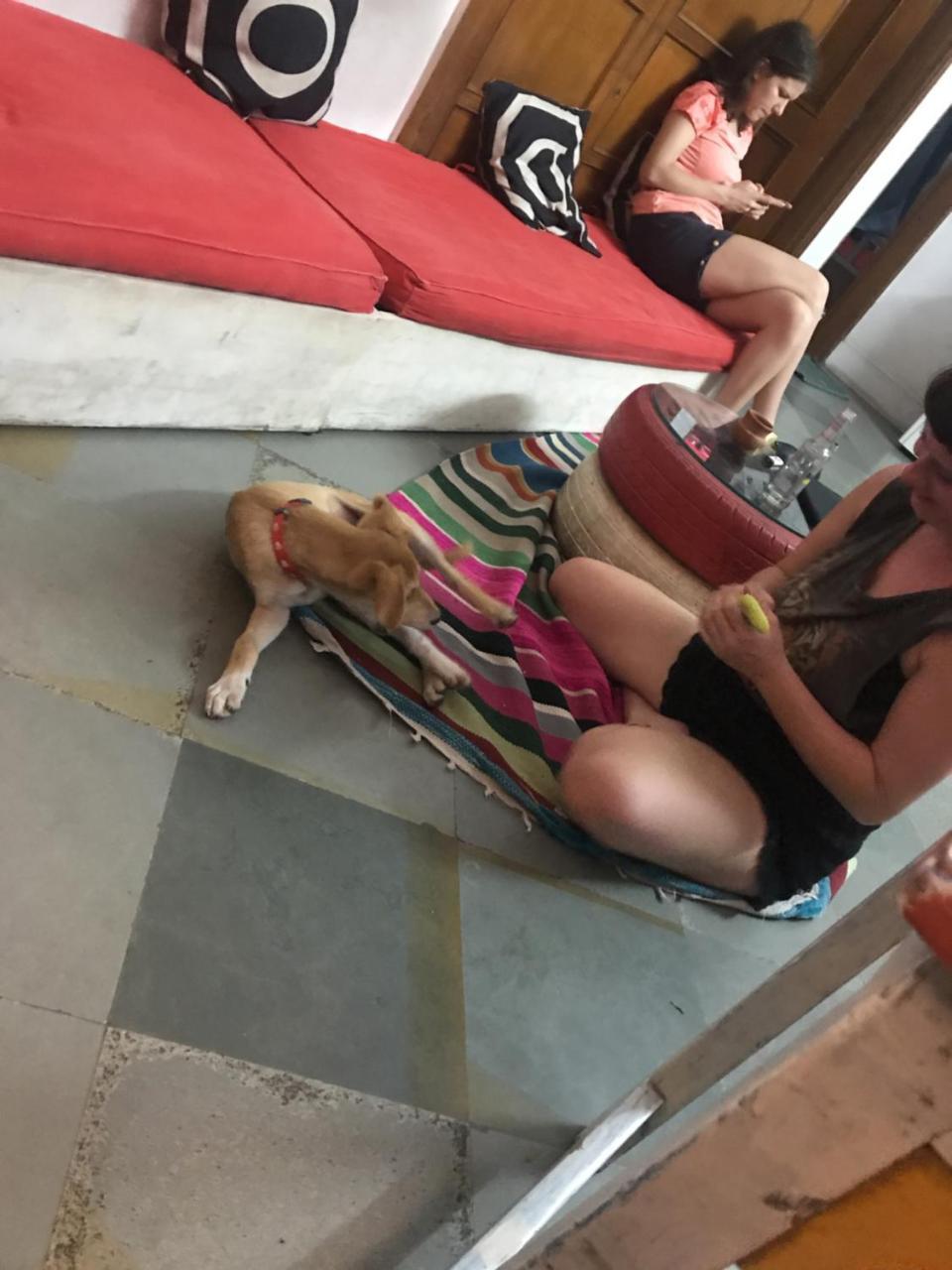 Doodle Rack Hostel Jaipur Bagian luar foto